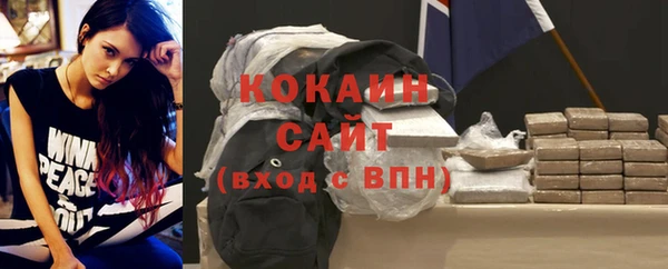 гашик Арсеньев