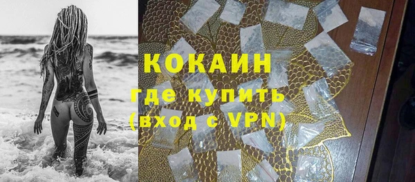 гашик Арсеньев
