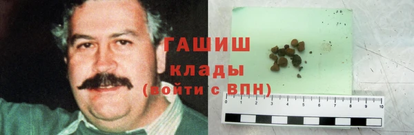 гашик Арсеньев