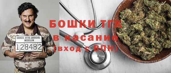 гашик Арсеньев