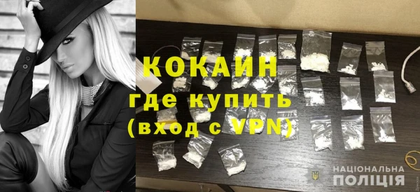 гашик Арсеньев