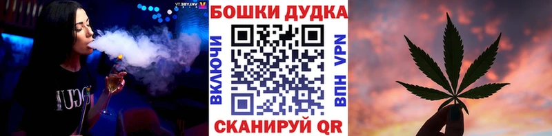 hydra ссылки  дарнет шоп  Снежинск  Бошки марихуана Ganja 